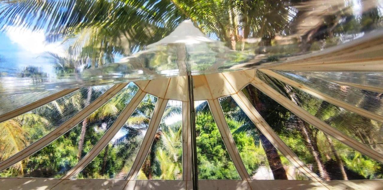 Firesky Glamping Ocam Ocam Beach New Busuanga Exteriér fotografie